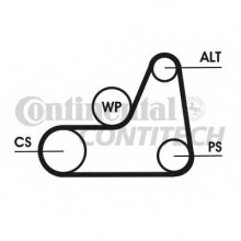 Ремень ручейковый ContiTech для Ford Focus II (2008-2011) Ремень ручейковый ContiTech для Ford Focus II (2008-2011)